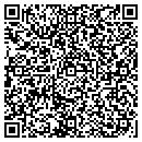 QR code with Pyros Financial Group contacts