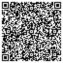 QR code with Brizzys Tree Service contacts