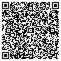QR code with Tiger TS contacts