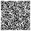 QR code with Blue Jay Systems contacts