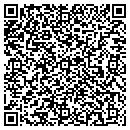 QR code with Colonial Painting Inc contacts