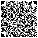 QR code with Profile Shop contacts