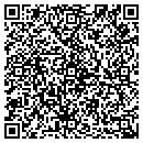 QR code with Precision Images contacts