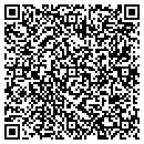 QR code with C J King & Sons contacts
