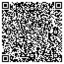 QR code with Crm Sercurity Services contacts