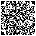 QR code with Shinju contacts