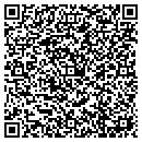 QR code with Pub One contacts