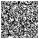 QR code with Provision Services contacts