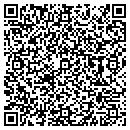 QR code with Public Image contacts