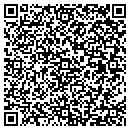 QR code with Premium Programmers contacts