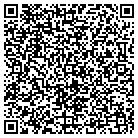 QR code with C P Straub Consultants contacts