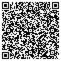 QR code with Todd E Nauman contacts