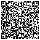 QR code with Pro Copy Inc contacts