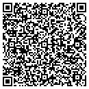 QR code with Blue Mountain Pigment contacts
