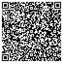 QR code with Pub In The Park Inc contacts