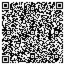 QR code with Psytech Solutions Inc contacts
