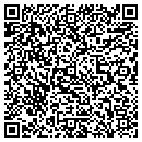 QR code with Babygrams Inc contacts