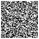 QR code with Pulse Interactive Tech LLC contacts