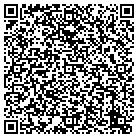 QR code with Blimpie Subs & Salads contacts