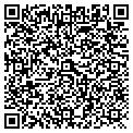 QR code with Isg Railways Inc contacts