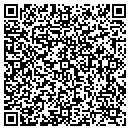 QR code with Professional Sweep The contacts
