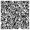 QR code with Pyrotrol Systems Inc contacts