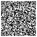 QR code with Carl's Custom Auto contacts