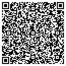 QR code with Pro Flight Center Inc contacts