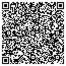 QR code with Pzazz Productions Inc contacts