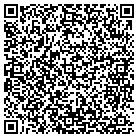 QR code with Bluelake Software contacts