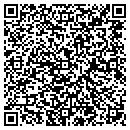 QR code with C J & S Installations Inc contacts