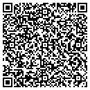 QR code with Pyle Machine & Mfg Co contacts