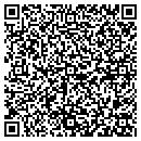 QR code with Carver Construction contacts