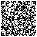 QR code with Midori contacts