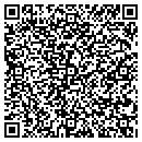 QR code with Castle Controls Corp contacts
