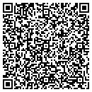 QR code with Programechanics contacts