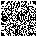 QR code with Precise Presentations contacts