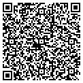 QR code with Dolphin Sales contacts