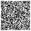 QR code with Carl J Babushko CPA contacts