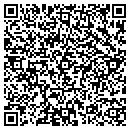 QR code with Premiere Flooring contacts