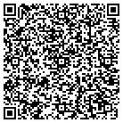 QR code with Spring Valley Stable Inc contacts