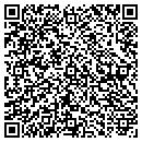 QR code with Carlisle Syn Tec Inc contacts