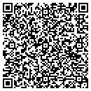 QR code with Professional Cnstr Services Group contacts