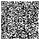 QR code with C D Landscaping contacts