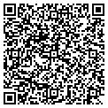 QR code with D Brunetti Inc contacts