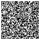 QR code with Carpet Solutions contacts