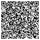 QR code with Purrfect Reflections contacts