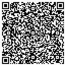 QR code with Public Storage contacts