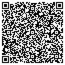 QR code with Proto WORX Inc contacts