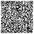 QR code with Blimpie Subs & Salads contacts